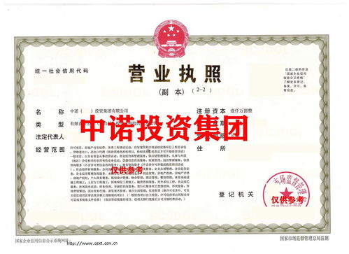 海南投資集團特批字號 轉(zhuǎn)讓