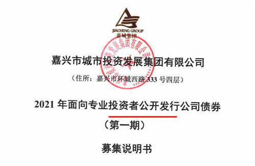 嘉城集團(tuán)擬發(fā)行15億公司債券 存盈利對政府補(bǔ)助依賴較高風(fēng)險(xiǎn)