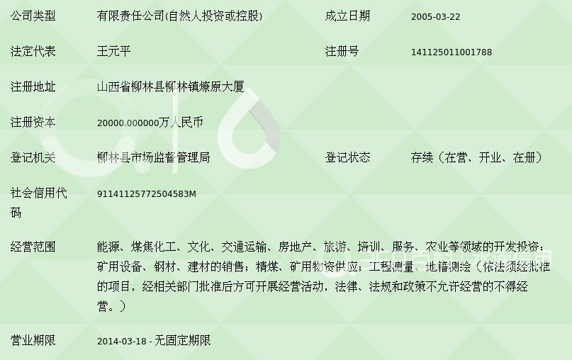 山西凌志能源投資集團(tuán)